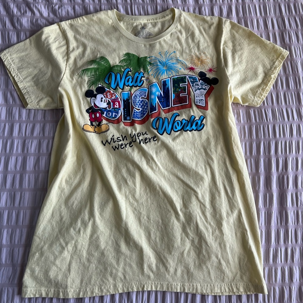 Disney Parks WDW "Wish You Were Here" Graphic Tee (XL)